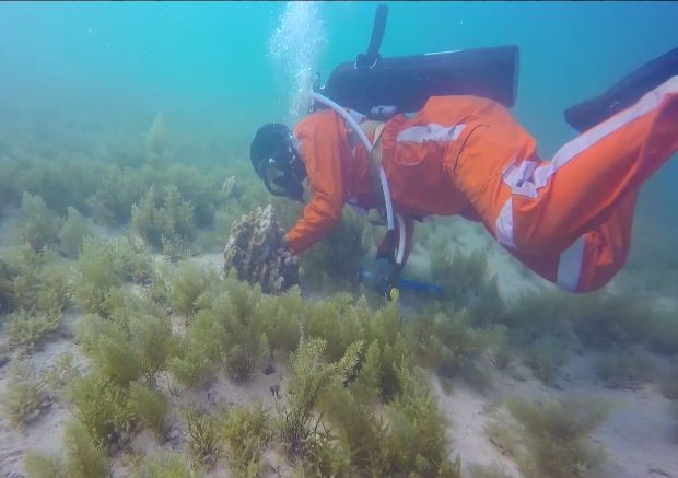 头等玩家官网-相信品牌力量