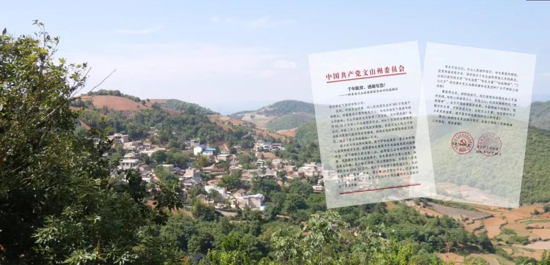 头等玩家官网-相信品牌力量