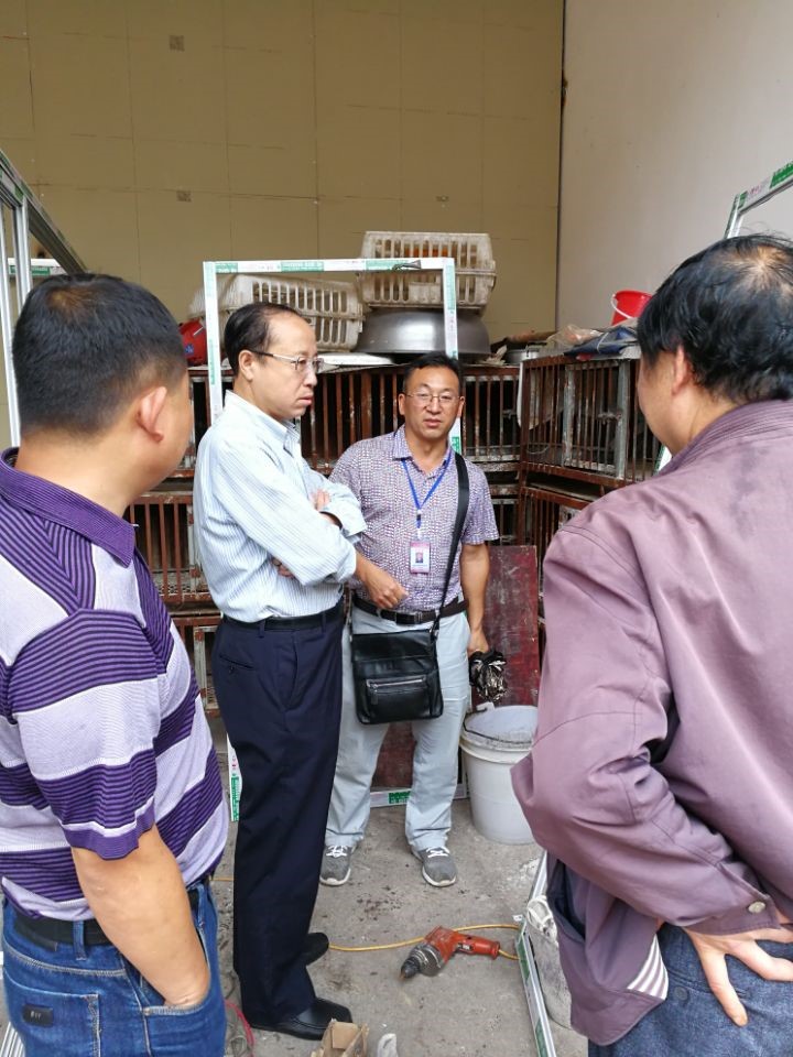 头等玩家官网-相信品牌力量