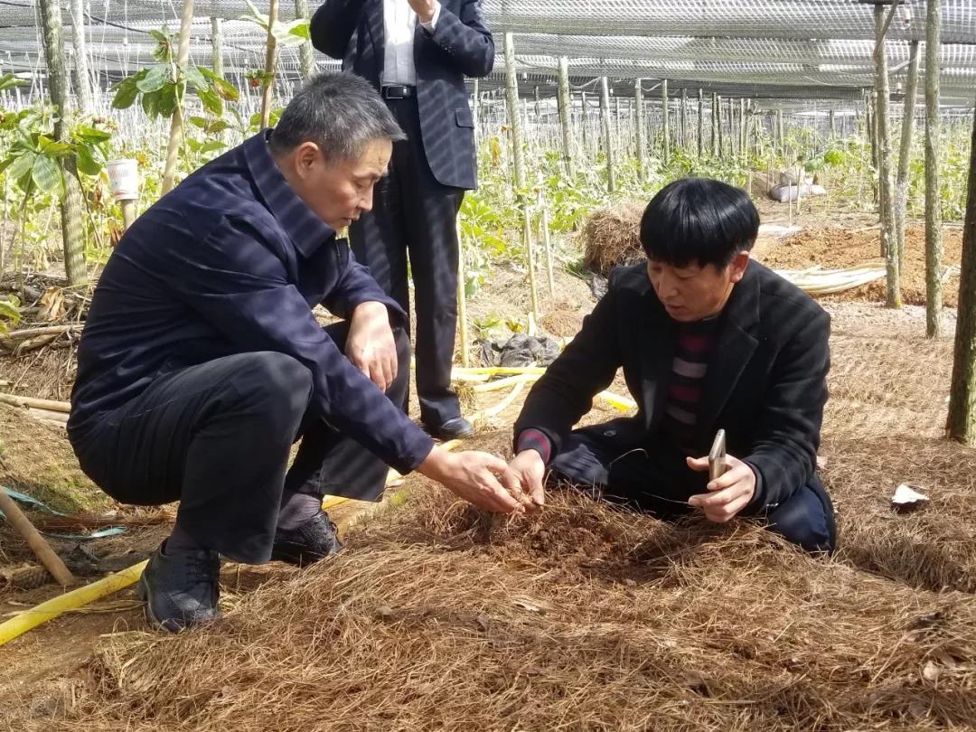 头等玩家官网-相信品牌力量