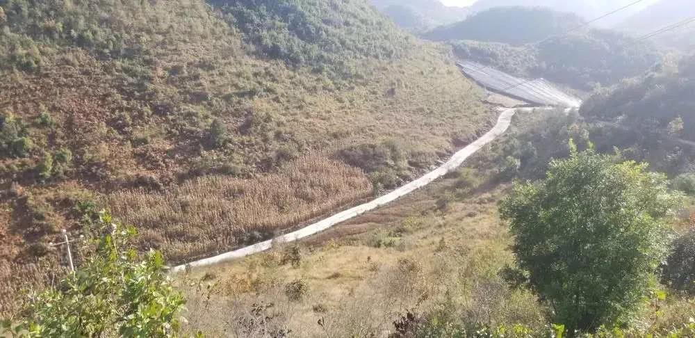 头等玩家官网-相信品牌力量