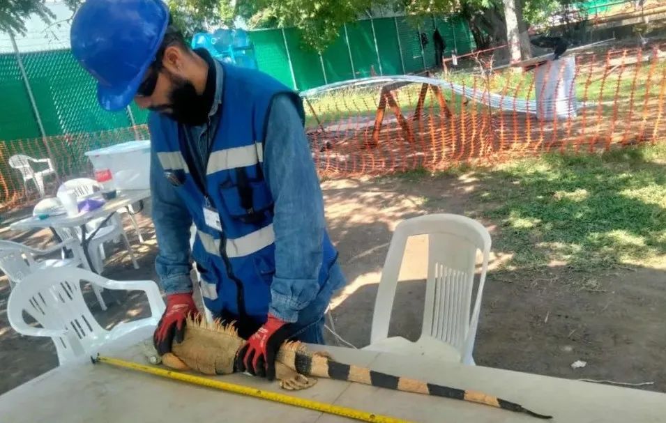 头等玩家官网-相信品牌力量