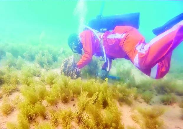 头等玩家官网-相信品牌力量