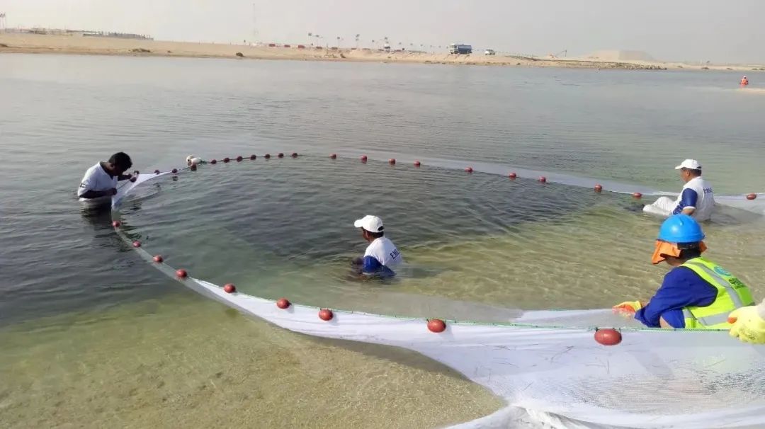 头等玩家官网-相信品牌力量