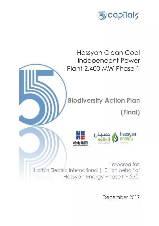 头等玩家官网-相信品牌力量