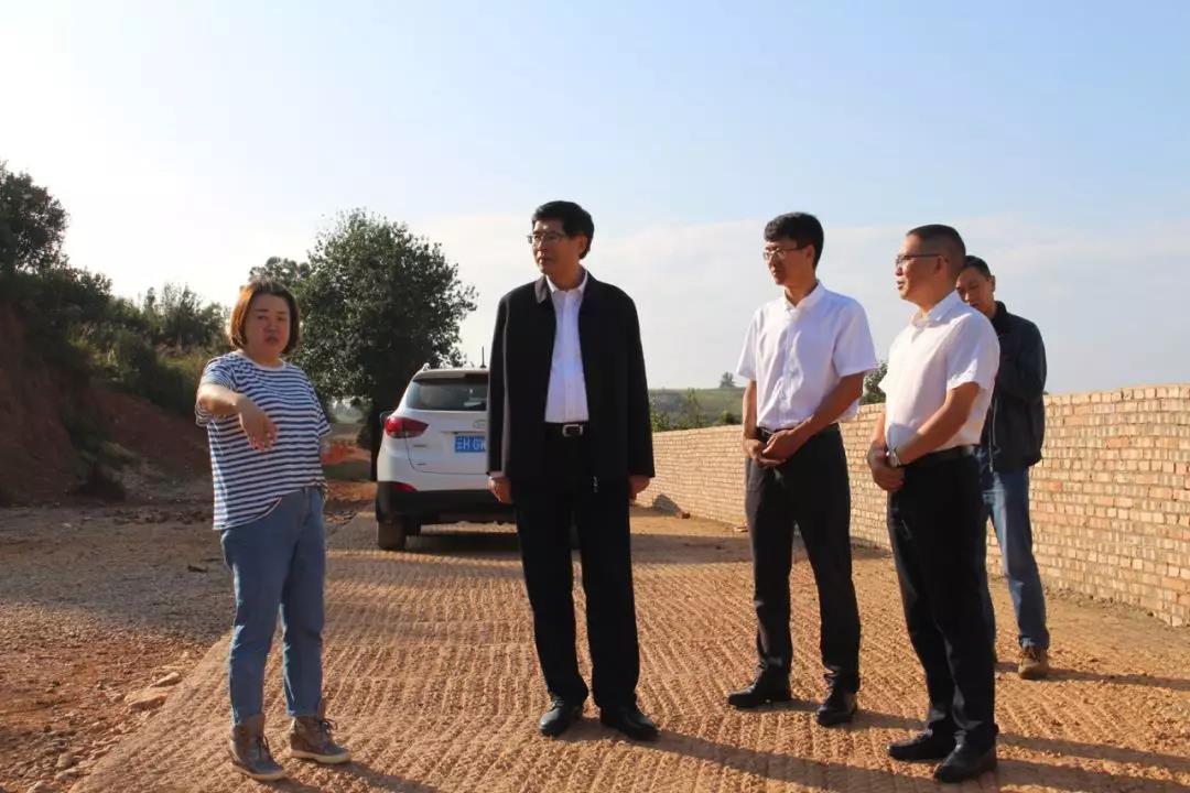 头等玩家官网-相信品牌力量