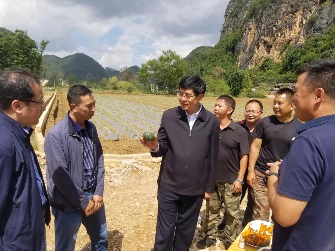 头等玩家官网-相信品牌力量