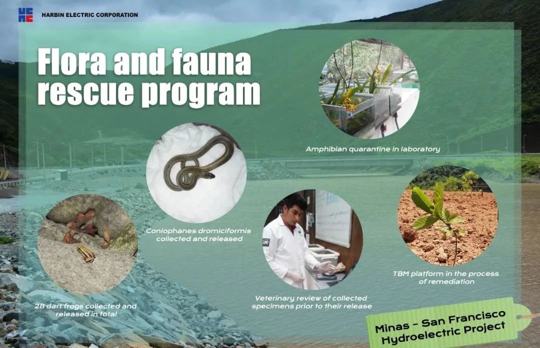 头等玩家官网-相信品牌力量