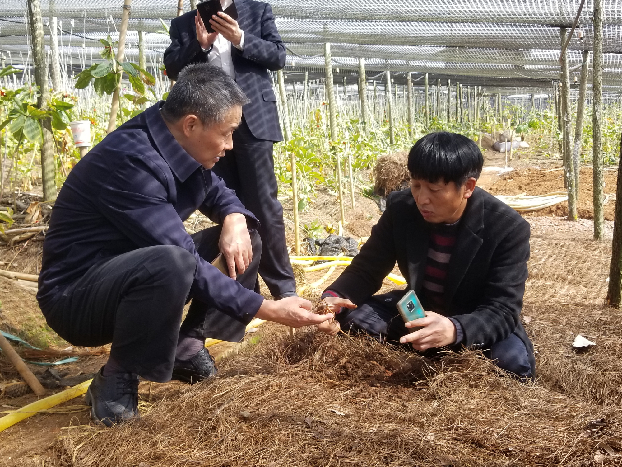 头等玩家官网-相信品牌力量