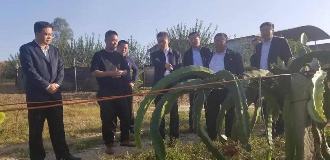 头等玩家官网-相信品牌力量