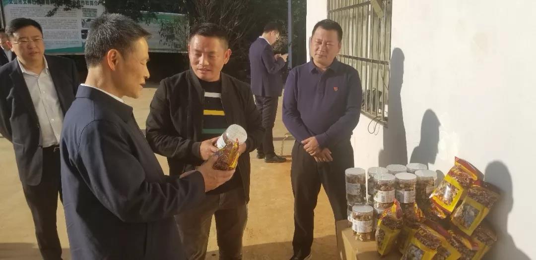 头等玩家官网-相信品牌力量