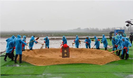 头等玩家官网-相信品牌力量