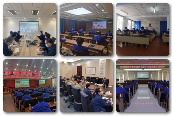 头等玩家官网-相信品牌力量