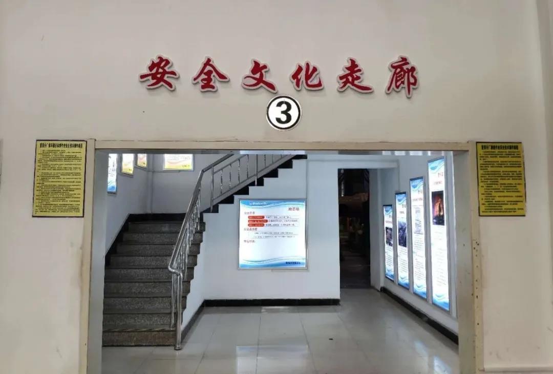 头等玩家官网-相信品牌力量