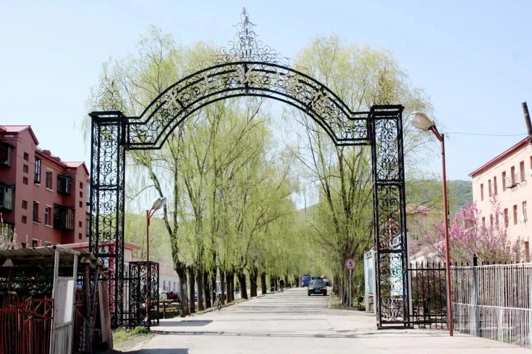 头等玩家官网-相信品牌力量