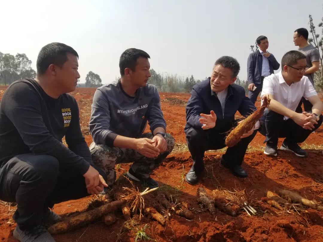 头等玩家官网-相信品牌力量