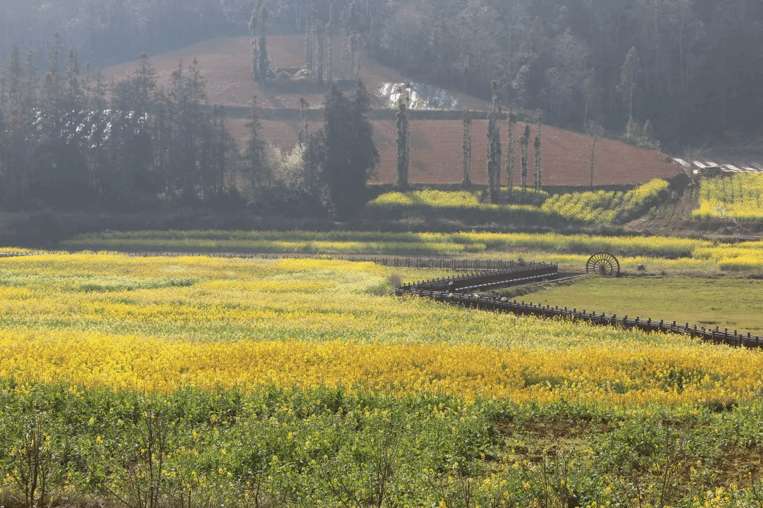 头等玩家官网-相信品牌力量