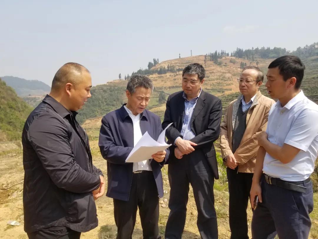 头等玩家官网-相信品牌力量