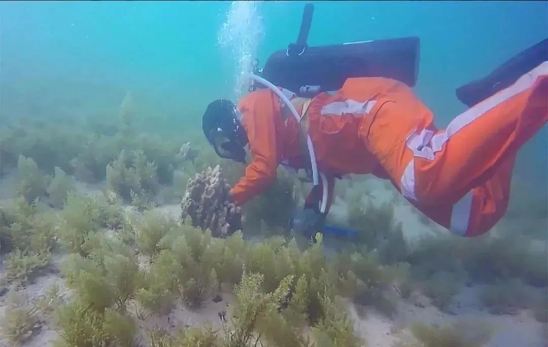 头等玩家官网-相信品牌力量