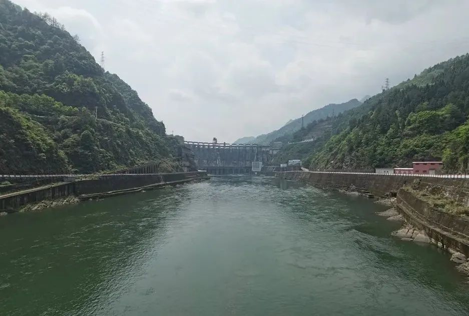 头等玩家官网-相信品牌力量